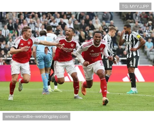 2025赛季英超效力的法国籍球员完整名单